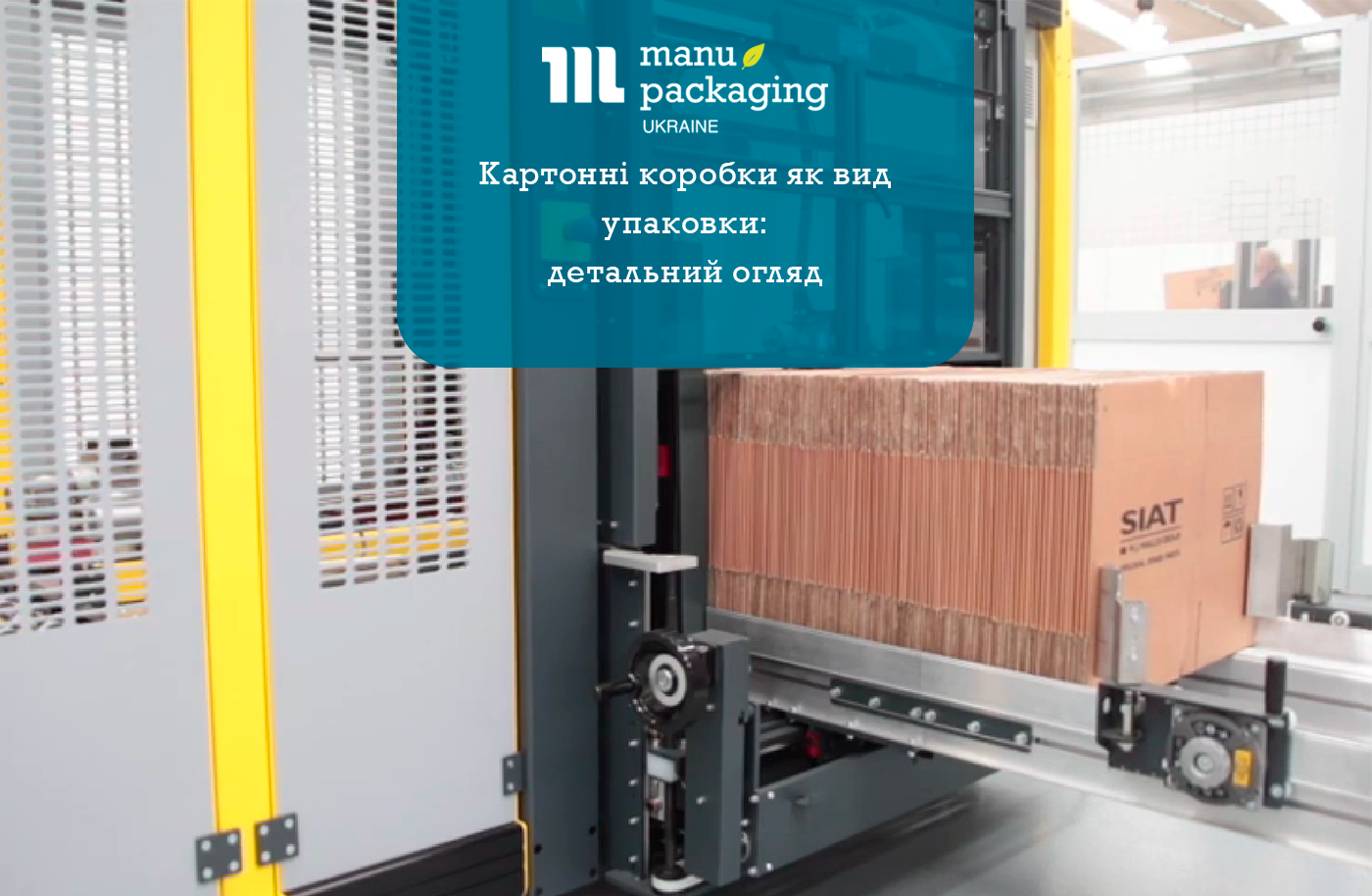 Картонні коробки як вид упаковки детальний огляд
