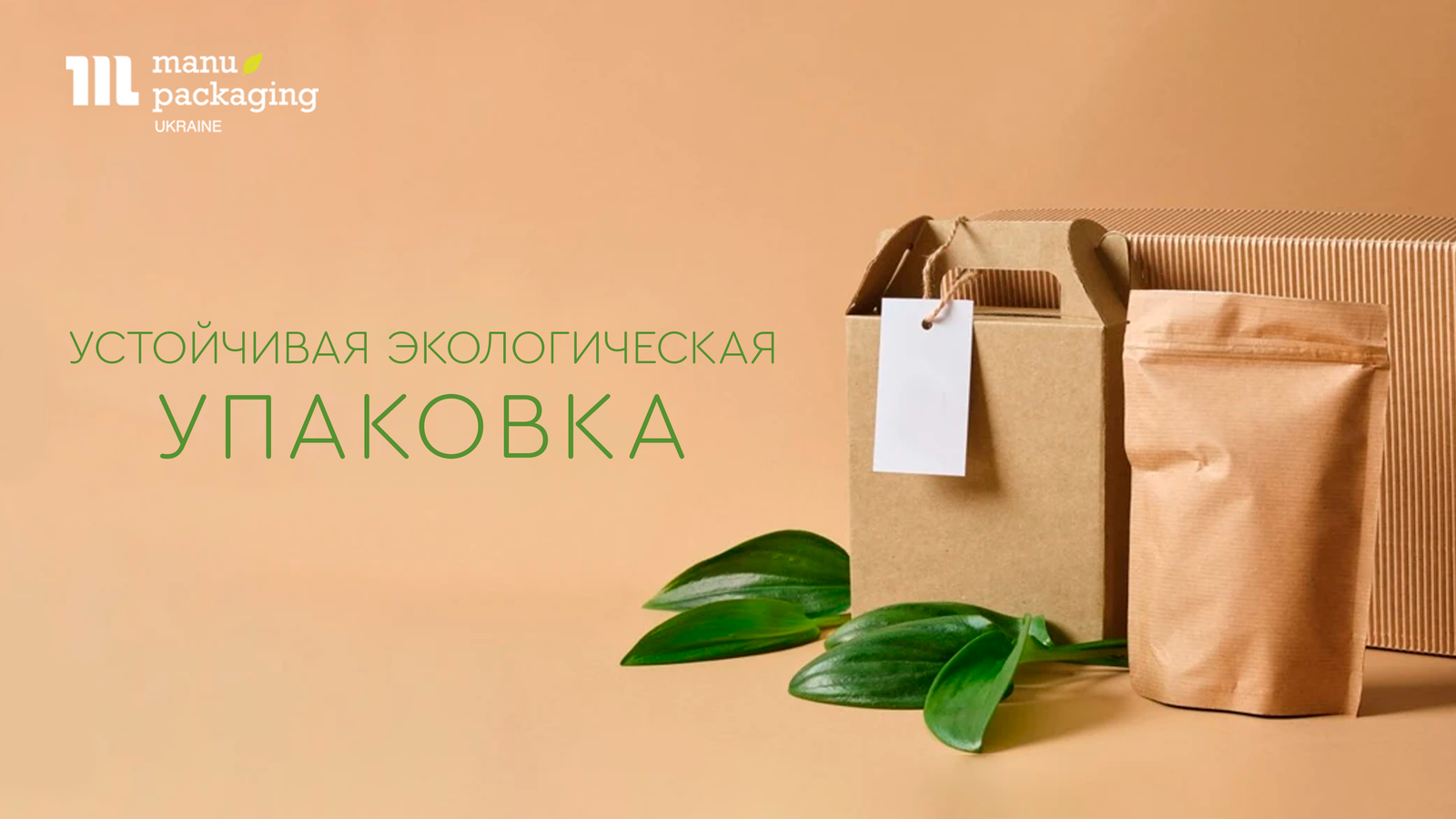 Устойчивая экологическая упаковка Устойчивая экологическая упаковка