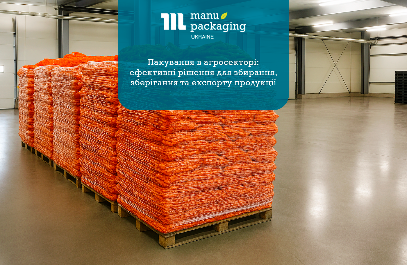 Пакування в агросекторі: ефективні рішення для збирання, зберігання та експорту продукції