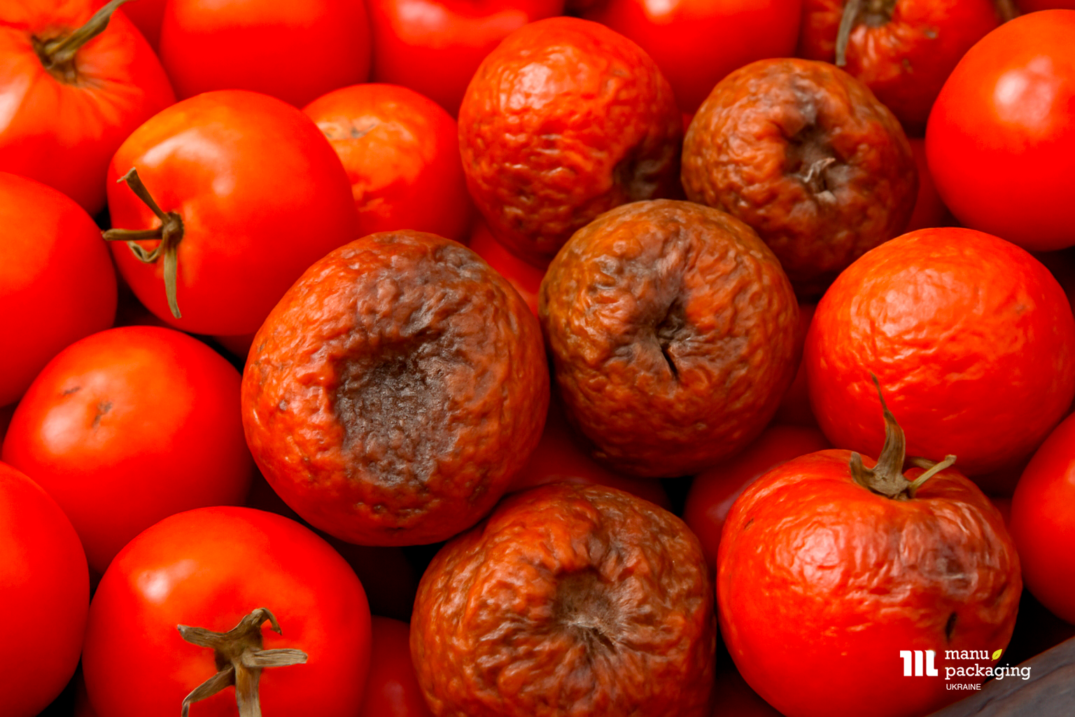 Палетна сітка допомагає не зіпсуватися продуктам