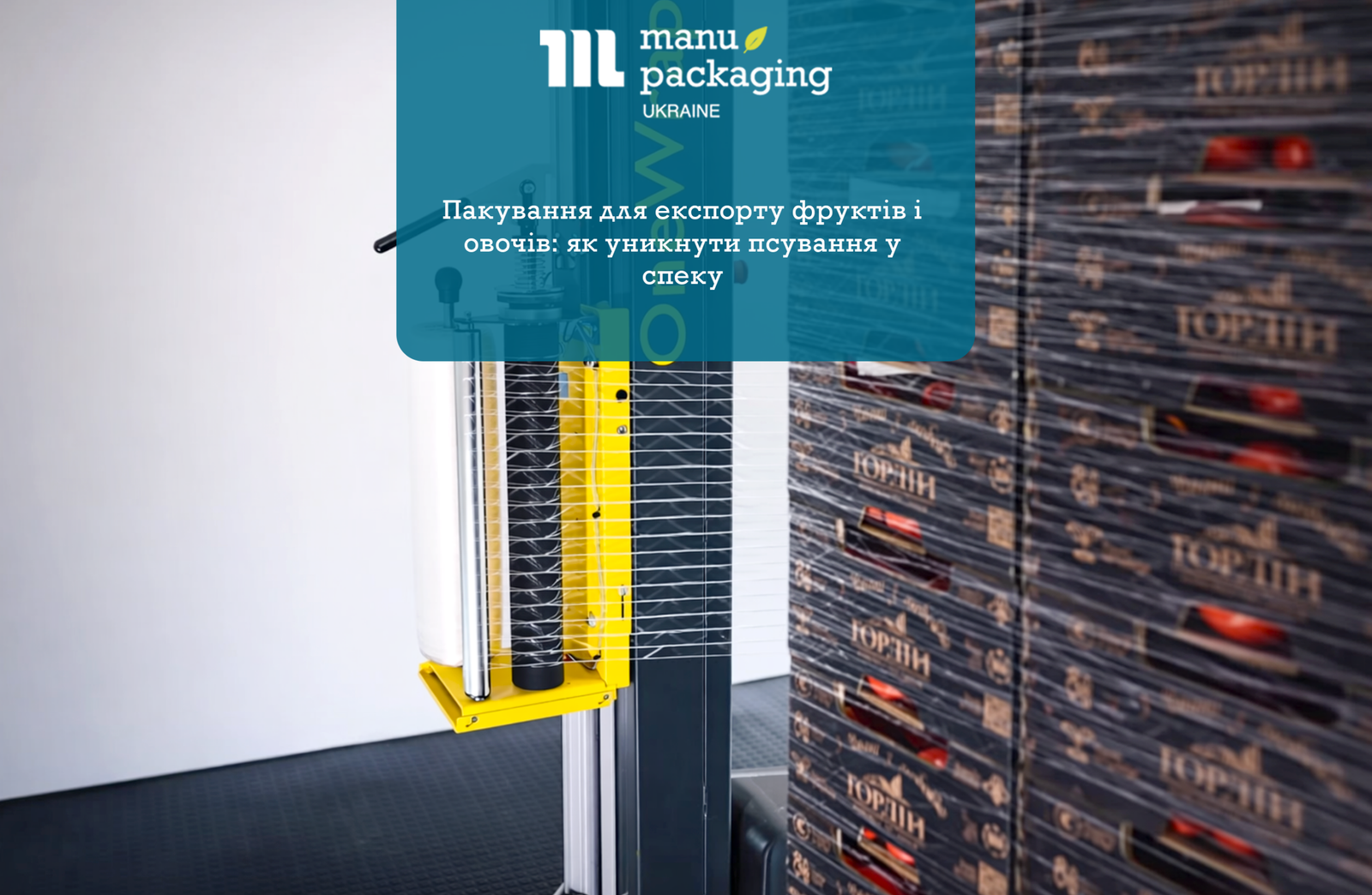 Пакування для експорту фруктів і овочів як уникнути псування у спеку